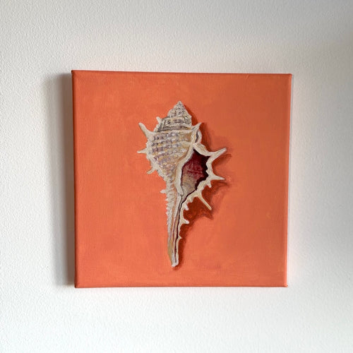 Shell No. 2 - Original Painting (20cm x 20cm) (Copy)