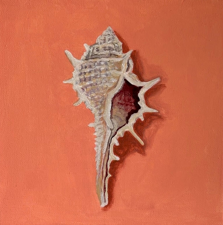 Shell No. 2 - Original Painting (20cm x 20cm) (Copy)